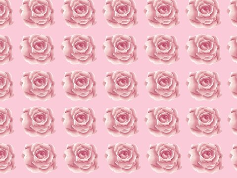 Seamless pattern featuring pink roses (Rosa spp. ) arranged in orderly rows against a pale pink background. Roses are symmetrically repeated, creating a uniform design. Each rose is detailed with soft