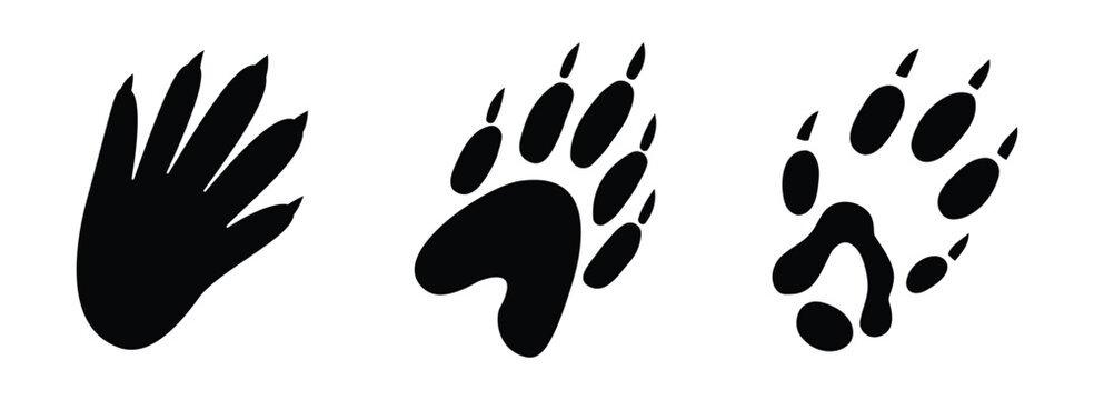 Set of rodent paw prints silhouettes isolated on transparent background. Collection of different small mammal tracks, wildlife footprint icons for design.