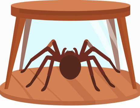 A cartoon brown spider is visible under a wooden table with clear sides
