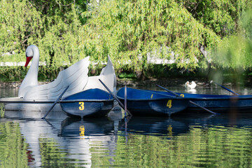 Leisure rowing boats and white swan pedal boat on a public park lake water background © alan
