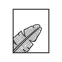 Logo paraíso tropical. Dibujo minimalista con líneas de la vista de cerca una hoja de plátano en un marco cuadrado  © teracreonte