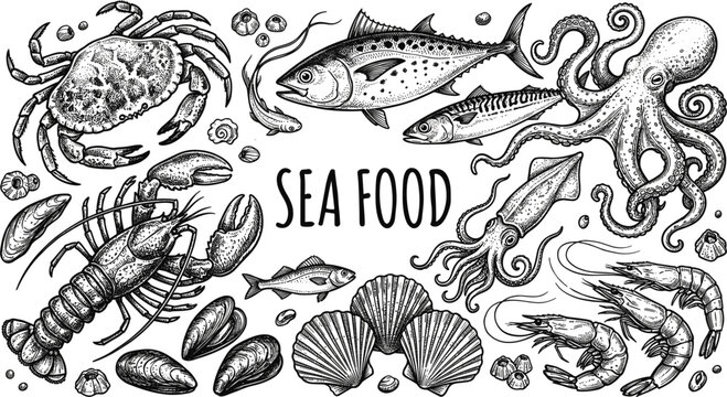 Vintage monochrome seafood background frame featuring detailed engraving illustration of crab tuna octopus lobster and prawns vector