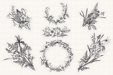 Fototapeta premium Delicate floral botanical line art illustration set on white background minimalist style