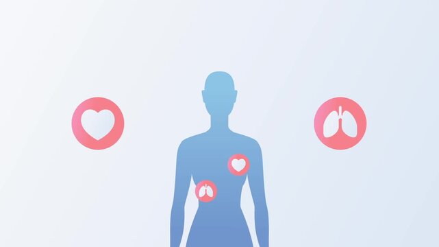 Medical infographic HUD elements for data visualization of human body. Digital Science Concept, Healthcare Research, Diagnostic Data, Abstract digital infographic illustration