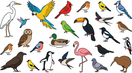 Obraz premium Diverse wild birds mega collection featuring colorful flat cartoon style parrot flamingo owl toucan penguin and penguin vector illustration