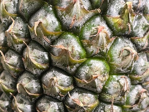 Extreme close up of textured green pineapple skin and scales