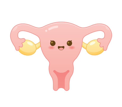 Adorable cartoon uterus character with cheerful smiling face representing healthy female reproductive organ. Cute pink womb illustration with ovaries for gynecology, women wellness and medical healthc