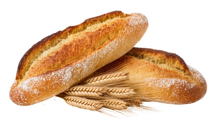 Two crusty artisan loaves of bread with wheat stalks