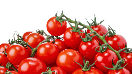 Ripe red cherry tomatoes on vine © Natalia