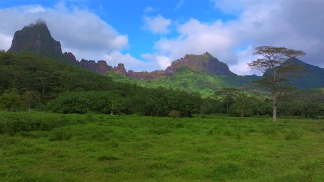 Belvedere Lookout Mount Toheia Mt Rotui dramatic volcanic jagged peaks rugged terrain Moorea French Polynesia aerial drone jungle trees lush green valley sunny morning blue sky clouds right motion