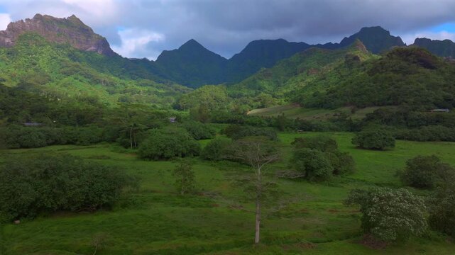 Belvedere Lookout Mount Toheia Mt Rotui Moorea French Polynesia aerial drone jungle trees lush green valley dramatic volcanic jagged mountain peaks rugged terrain sunny morning blue sky clouds upwards