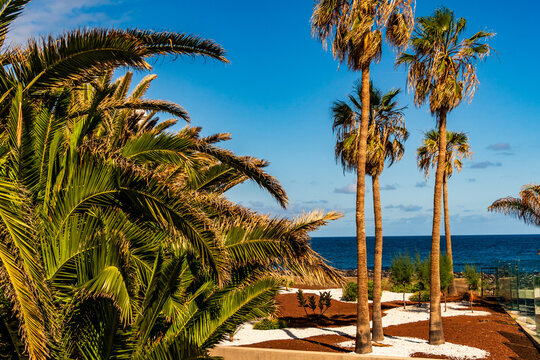 Paisaje en el municipio de Puerto de la Cruz, isla de Tenerife.