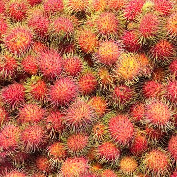 rambutan fruit in thailand