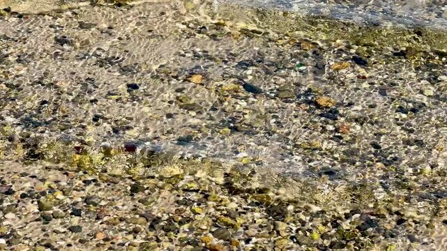 Macro close up shot of wet sandy beach with small rocks and pebbles covered in algae and organic matter on a Caribbean shoreline. Shot on iPhone 17 Pro.