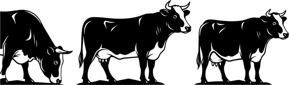 Three Black and White Cow Illustrations.