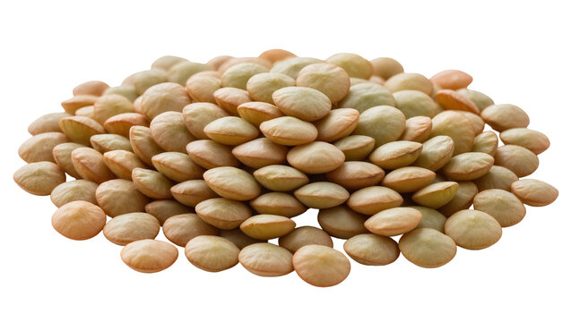 Pile of green lentils seeds