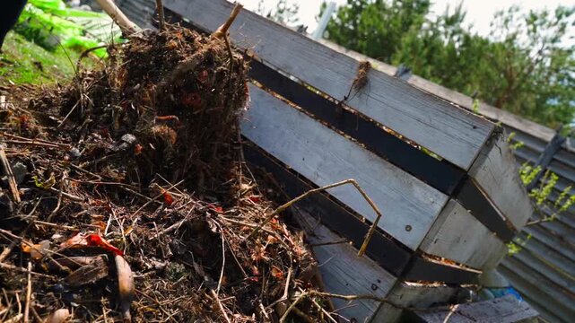 Wooden compost bin filled with organic garden and kitchen waste in sunny backyard