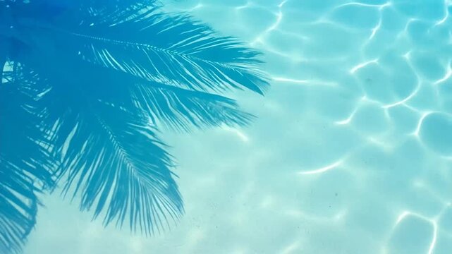 A palm leaf shadow falls across the clear blue water of a swimming pool