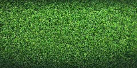 Obraz premium Vibrant Lush Green Grass Field Under Bright Blue Sky Perfect for Nature Photography and Textures