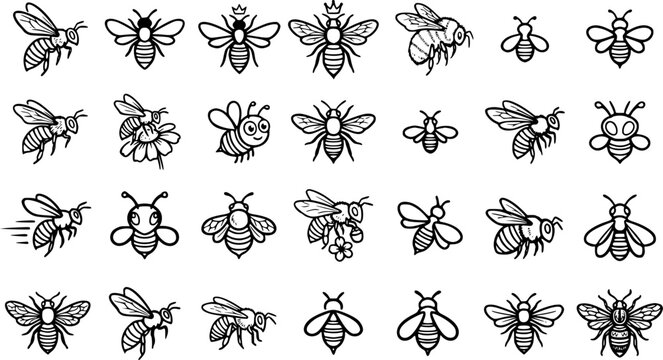 Black  White Line Art Bee  Honeybee Icon Set: Nature, Pollination, and Garden Ecology Glyphs