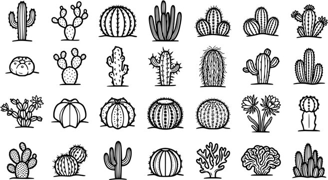 Gardening  Desert Plants Black and White Line Art Icons: Diverse Collection of Cacti and Succulents Outline Illustrations Set