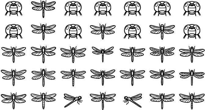 Black and white line art icons of dragonflies and insect heads for nature or science themes