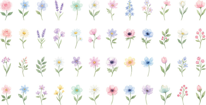 Collection of colorful flowersAdobe Illustrator Artwork