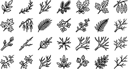 Botanical Elements Black and White Line Art Set. Hand-drawn Doodle Icons of Tree Branches, Leaves, Berries, Cones, Acorns, and Fern for Nature Designs © pixsource