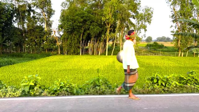 Local farmer walking along a rural road past vibrant green rice fields