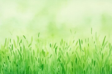 Fototapeta premium Grass backgrounds outdoors plant.