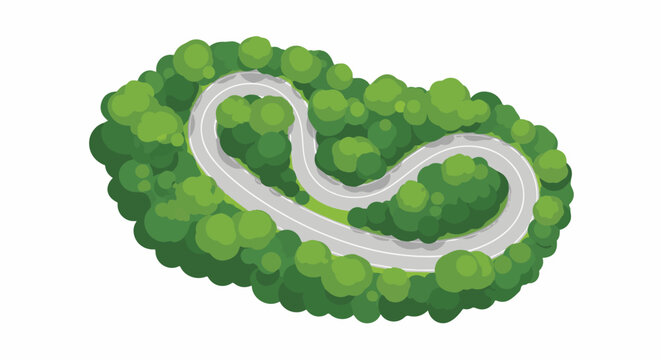 Aerial view of a winding road through a dense forest