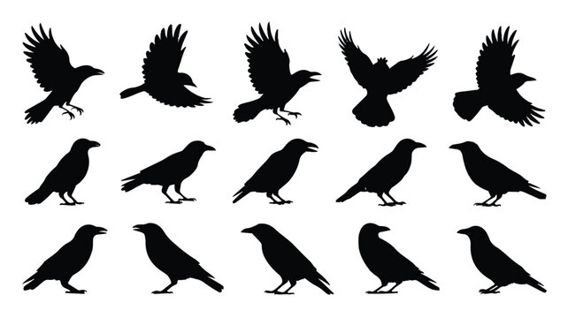 a collection of black silhouettes of various crows and ravens in different poses and flying