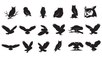 Fototapeta premium Diverse Owl Silhouettes and Wildlife Icon Collection