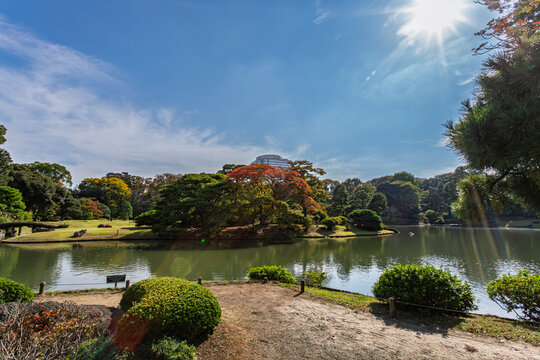 Powerful autumn sunlight shining over the pond at Rikugien Garden Tokyo November 2023