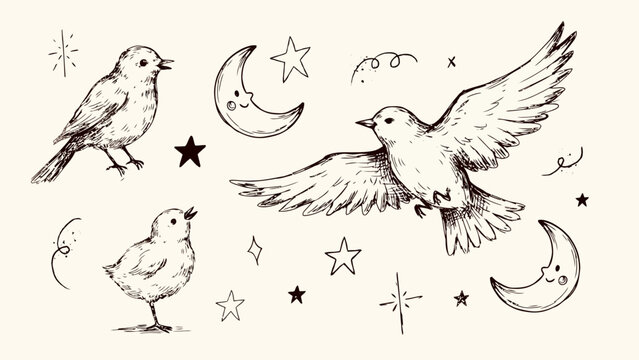 Whimsical sketch of birds and celestial symbols with stars and moons