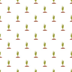 Obraz premium Small green sprouts growing from brown soil creating a repeating pattern