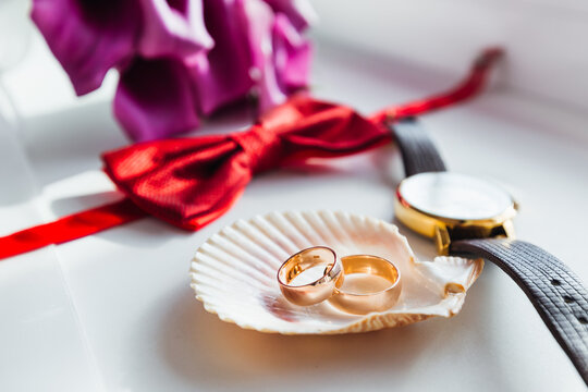 Wedding rings on a seashell with groom accessories: red bow tie and leather wrist watch on table