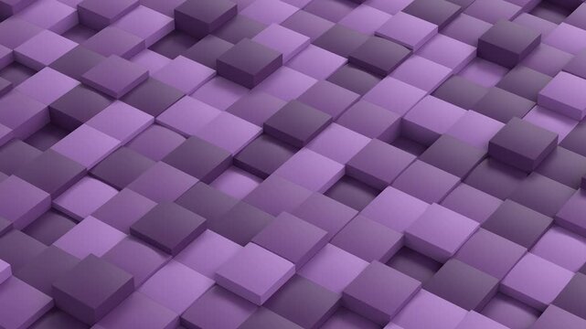 Seamless loop of abstract 3D purple and lavender cubes moving up and down with procedural noise wave effect