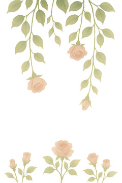 Watercolor illustration of hanging rose vines and blooming roses at the bottom forming a vertical border frame isolated on a transparent background. generated by AI.