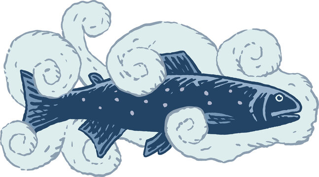 Ger&auml;ucherte Forelle in Rauch, Farbillustration