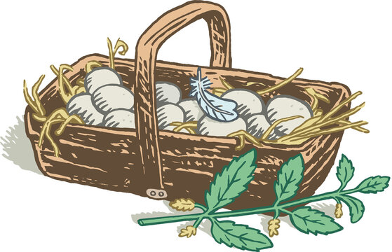 Korb mit Eiern und Brennnessel, Farbillustration