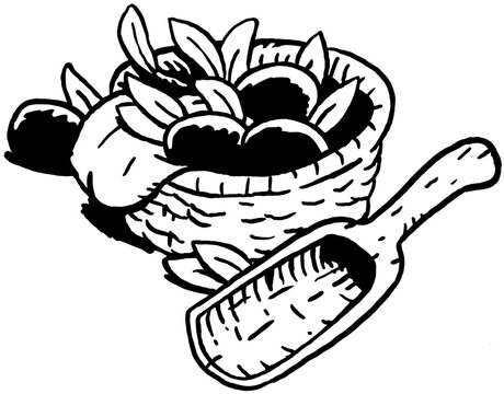 Pflaumen in Korb mit Holzl&ouml;ffel, Schwarz-Wei&szlig;-Illustration