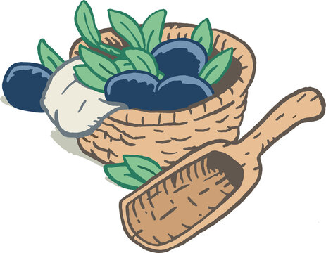 Pflaumen in Korb mit Holzl&ouml;ffel, Farbillustration