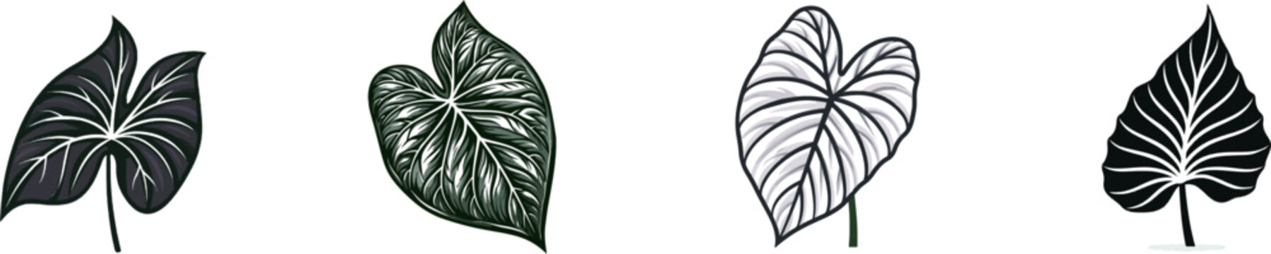 A minimalist botanical silhouette of a Caladium elephant ear leaf with dramatic veins, rendered in solid black against a white background, showcasing clean sharp edges for automatic vector tracing