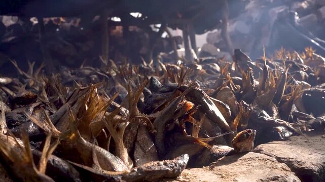close up of dried fish in Senegal in west africa in smoking area, part of african diet and nutrition for the african population