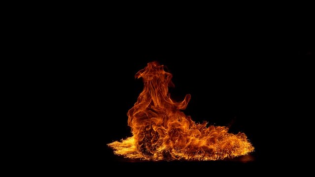 Fire Flame Isolated on Black Background