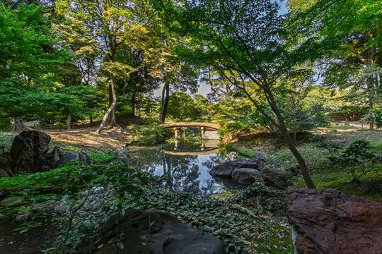 Beautiful wooden bridge spanning a stream with a scenic reflection at Rikugien Garden November 2023