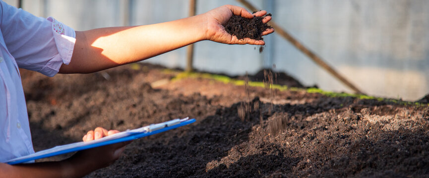 Banner Close up Hand check soil quality control inspector. Smart farmer checking plant eco green farm sustainable quality control. Banner Farmer cultivated eco Farmland biotechnology with copy space