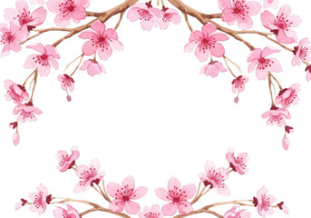 Fototapeta premium Watercolor of pink cherry blossom branches forming a circular frame against a solid black background, spring floral border