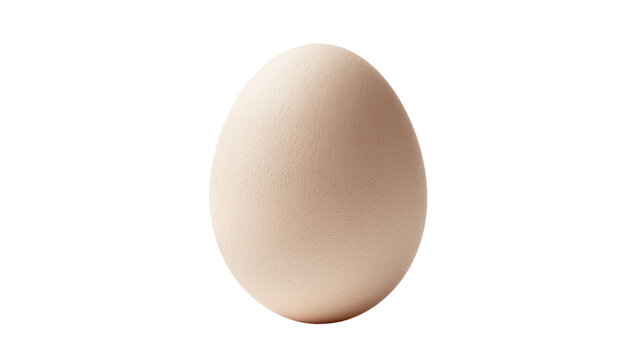 Single light brown chicken egg with textured shell